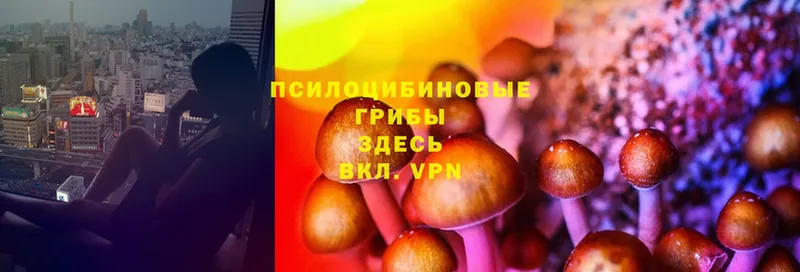 Галлюциногенные грибы MAGIC MUSHROOMS  Лянтор 